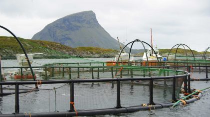 Oppdrettsanlegg-på-Lovund