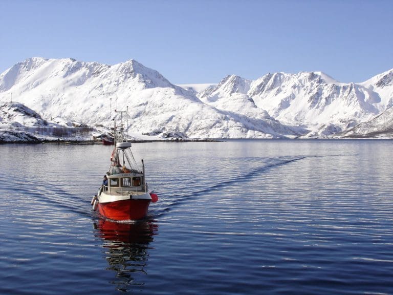 Dra på Lopphavet