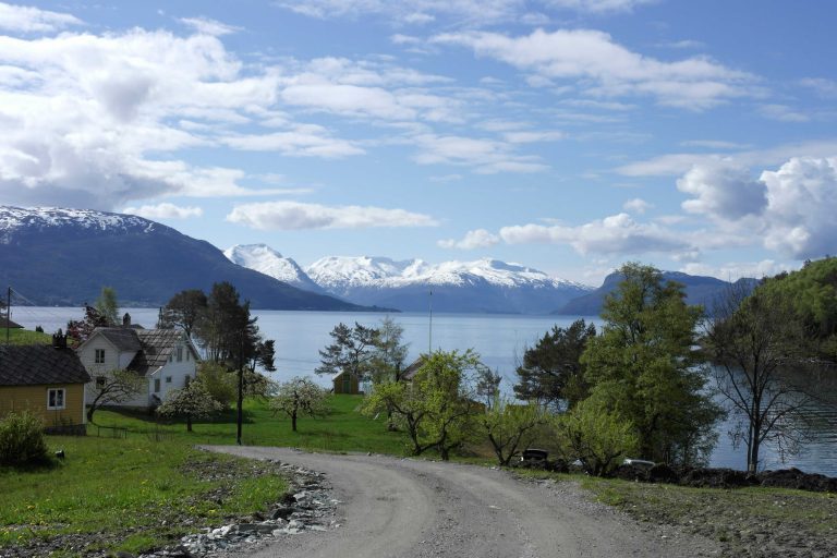 Fangster av stor oppdrettslaks i Hardangerfjorden