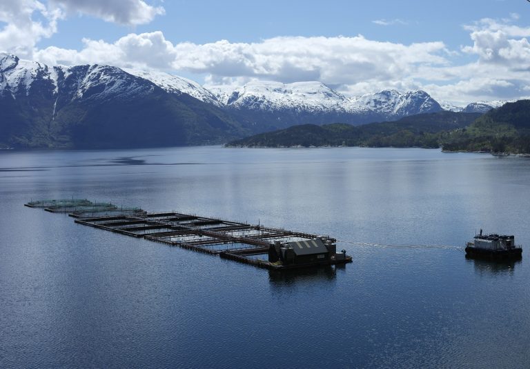 Storhandel i Sunnhordland er et tungt veddemål på etterspørselsvekst og høye laksepriser