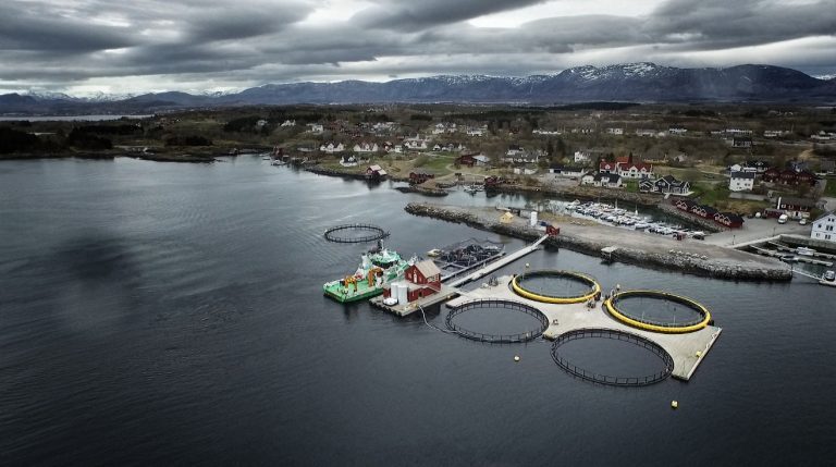 Rekordvekst i lukket merd