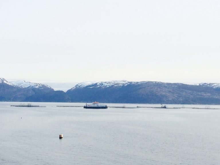 Vidt gap på lønnsomhet