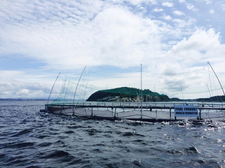 Fra kontrovers til dialog om fiskeoppdrett