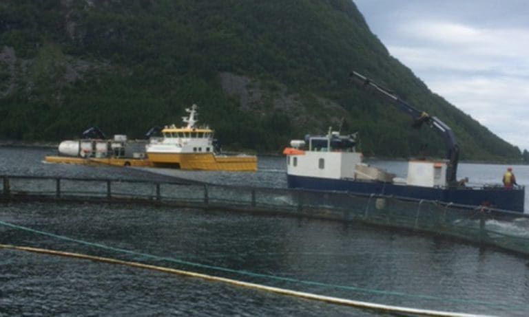Advarer oppdrettere med lave lusenivåer