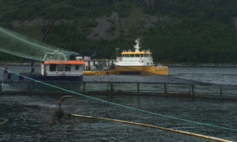 Bekymret over spredning av lusemidler