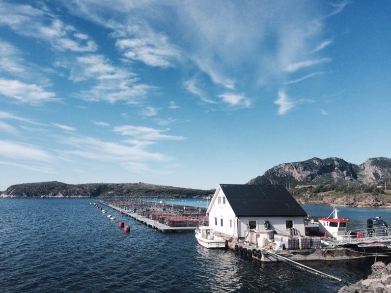 LetSea ble årets gasellebedrift for Nordland
