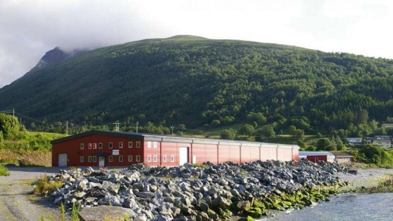 Lurar laksen til å gyte om sommaren