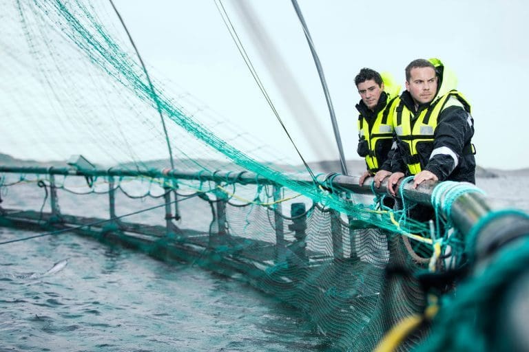 Byks i topplinjen til Aqualine