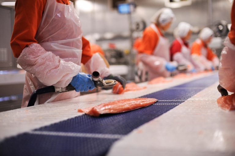 Marine Harvest slaktet mer enn forventet, men svakere driftsresultat
