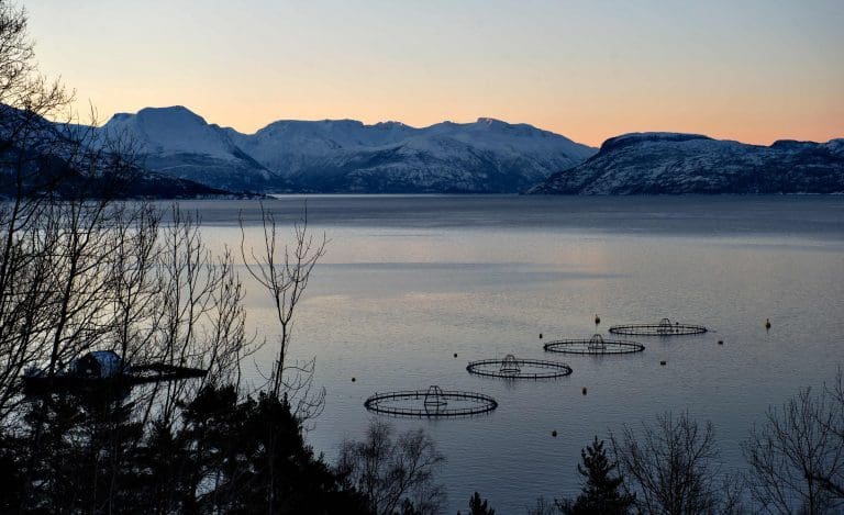Lys mot lakselus i Hardanger