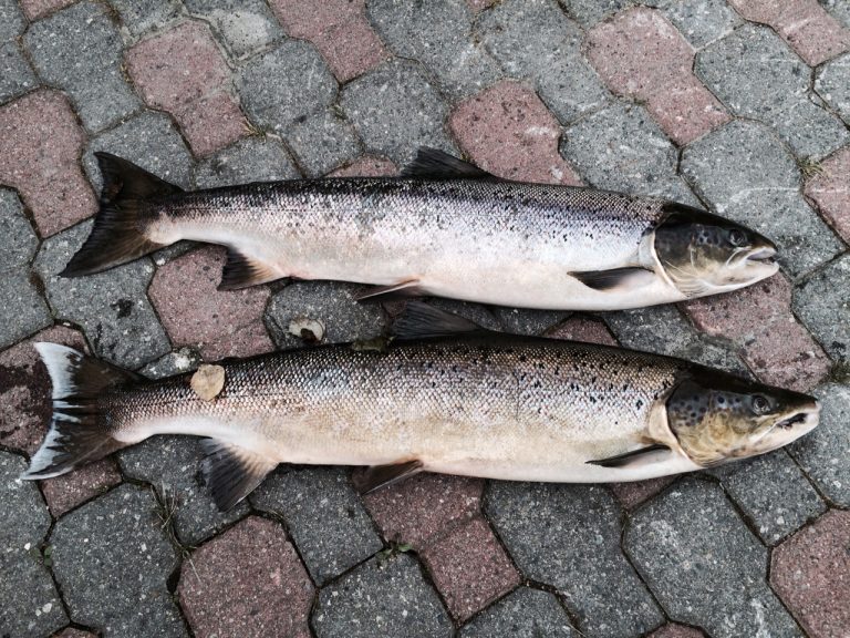 – Dette er å endre spillereglene underveis