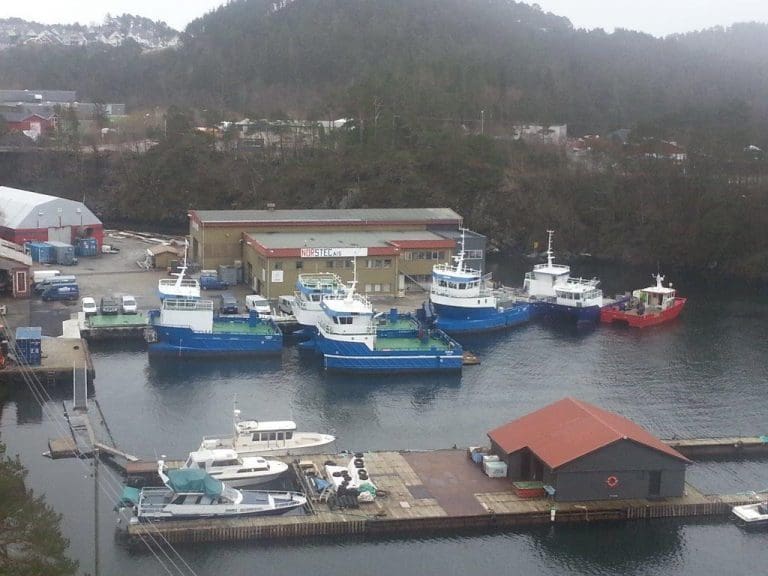Bygger for fremtiden