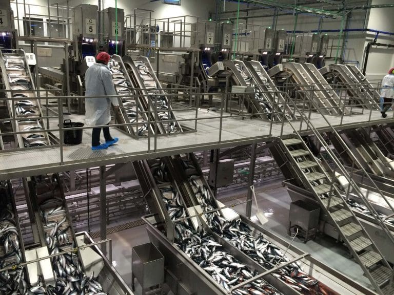 – Ganske sjelden i pelagisk industri