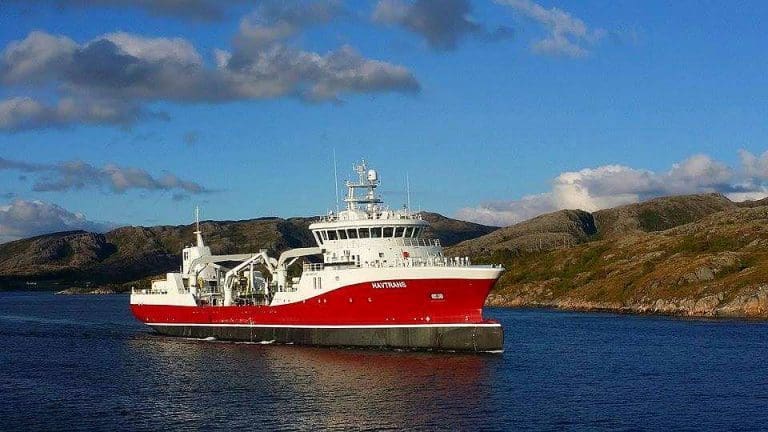 Williksen handler NTS-aksjer for 11,2 mill