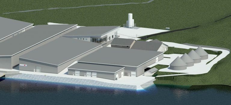 Bremnes satser en halv milliard på stor smolt