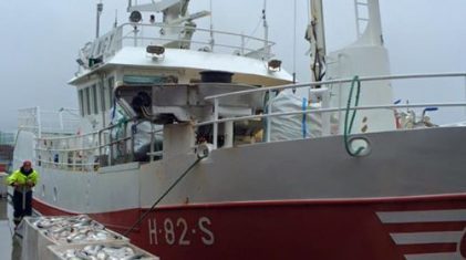 fiske-teineskjaer