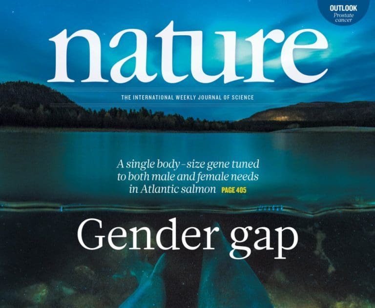 Pryder førstesiden i Nature