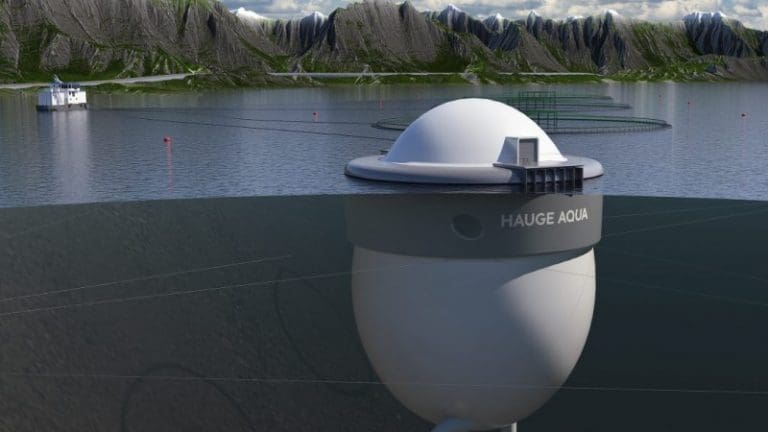 Han ba til Gud. Dette er svaret han fikk.