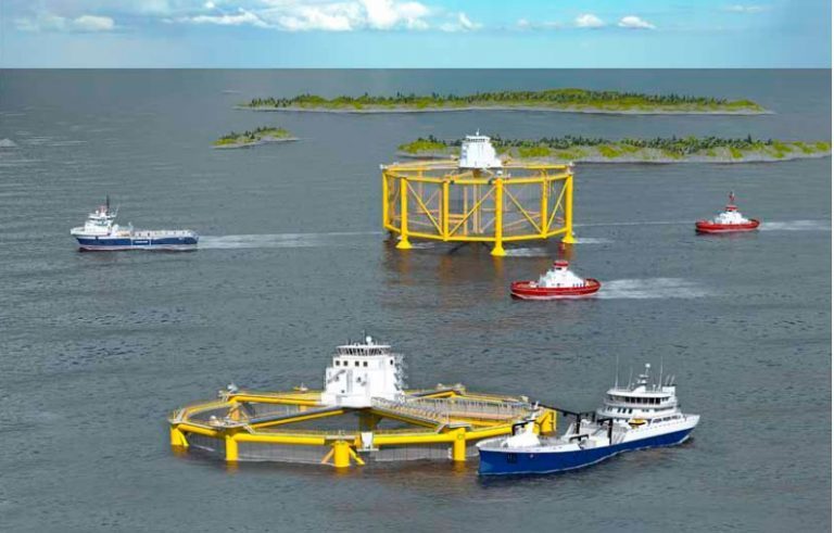 SalMars Ocean Farming får åtte konsesjoner