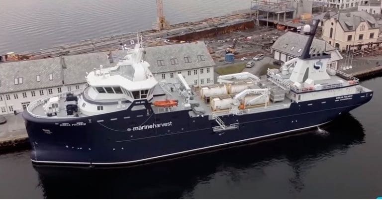Marine Harvest vil eie og drive egne brønnbåter