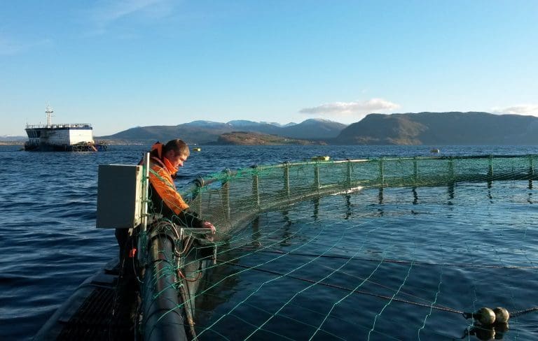 Miljøsertifisert lakseoppdrett i Skjerstadfjorden