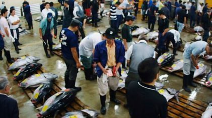 tsukiji