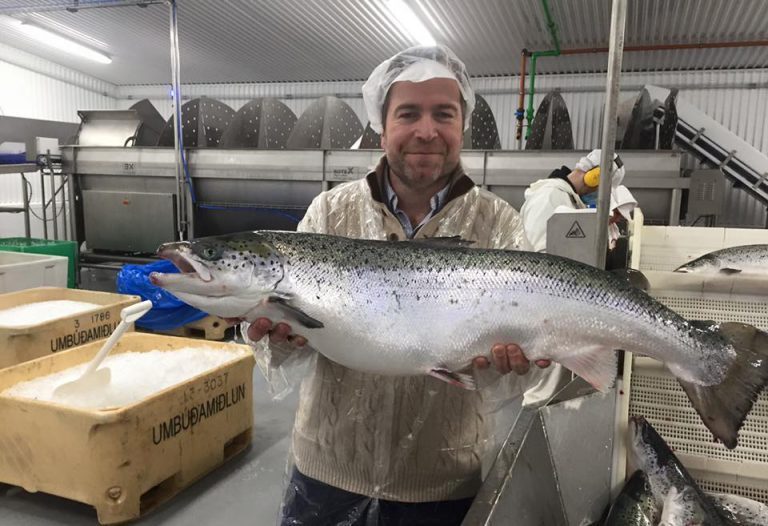 Mer enn dobler produksjonen i år