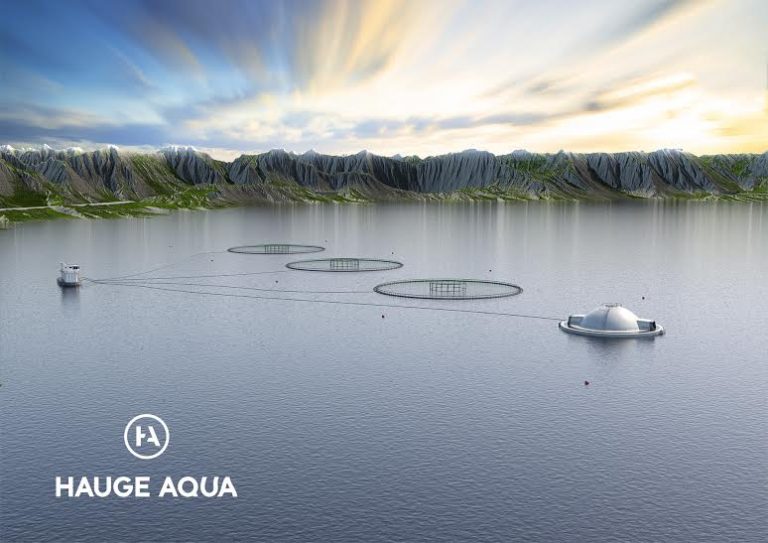 Marine Harvest satser på &laquo;Egget&raquo;