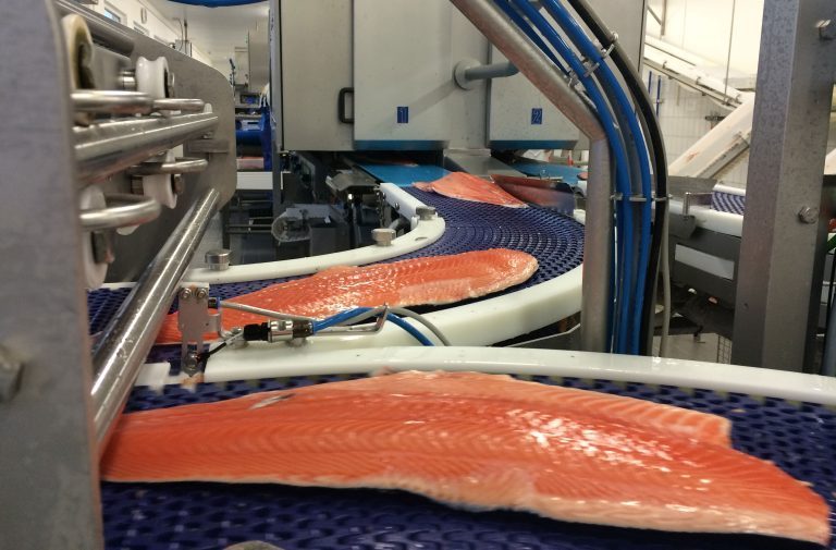 – Fisk med store sår; er det overhode grunnlag for menneskemat?