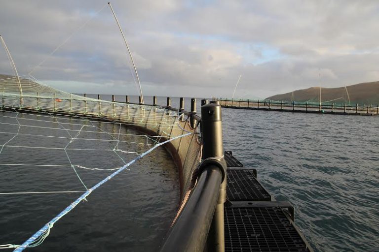 Hvalpsund Net og EIVA-SAFEX inngår samarbeid