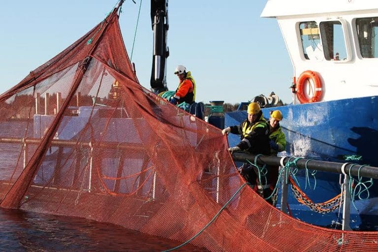 Aqualine etablerer seg på Vestlandet