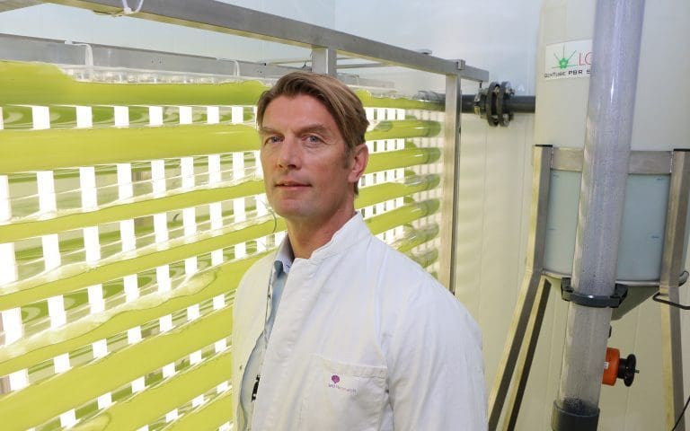 Starter bygging av pilotanlegg for mikroalgedyrking på Mongstad