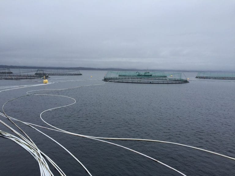 SalMar vil gå fra diesel til strøm