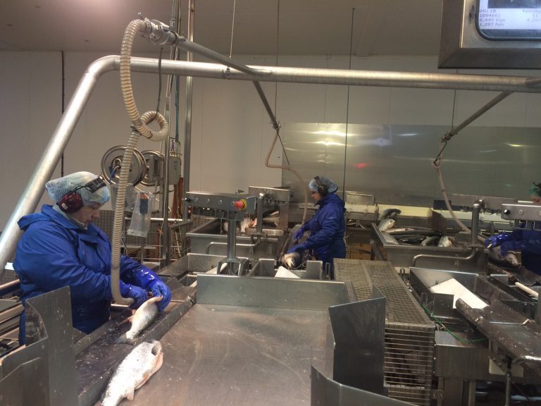 Biomasseoverskuddet er snart borte