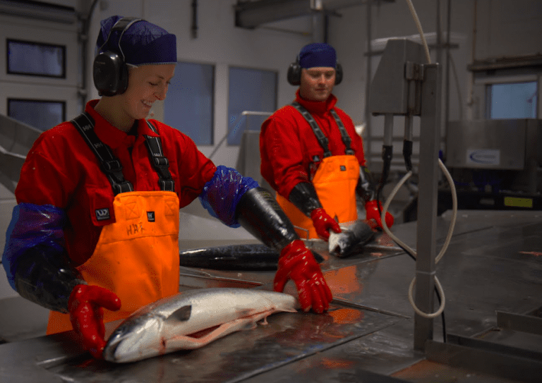 Over 50.000 jobber i sjømat
