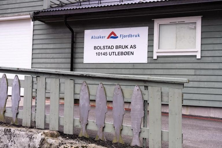 Lusekamp preget Alsaker-resultat