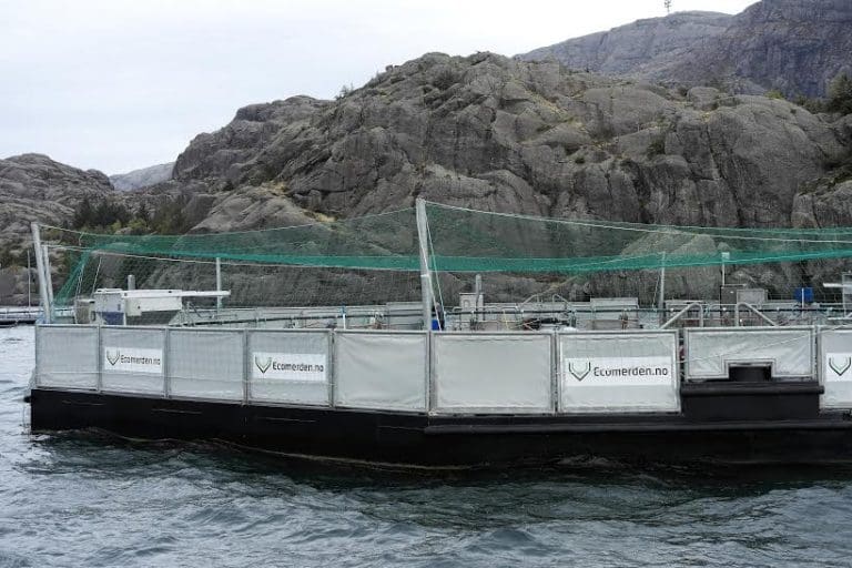 Ecomerden rigges for større satsing