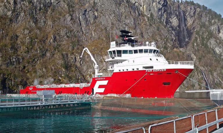 Fiskevelferd-utfordringer for Optimar Stette