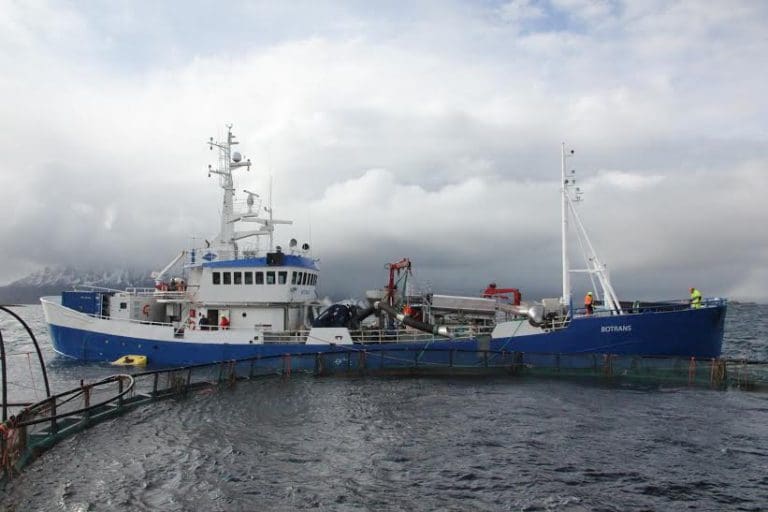 Helgeland Oppdrettservice satser på Skamik