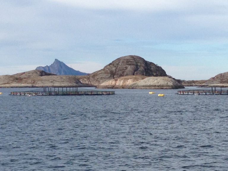 Antall PD-tilfeller er hittil i år på nivå med fjoråret