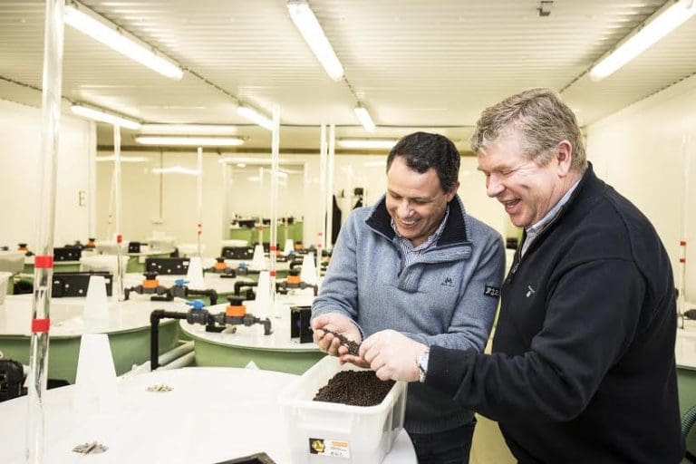 Nå kan lakseoppdretterne være nettoprodusenter av marine proteiner og oljer