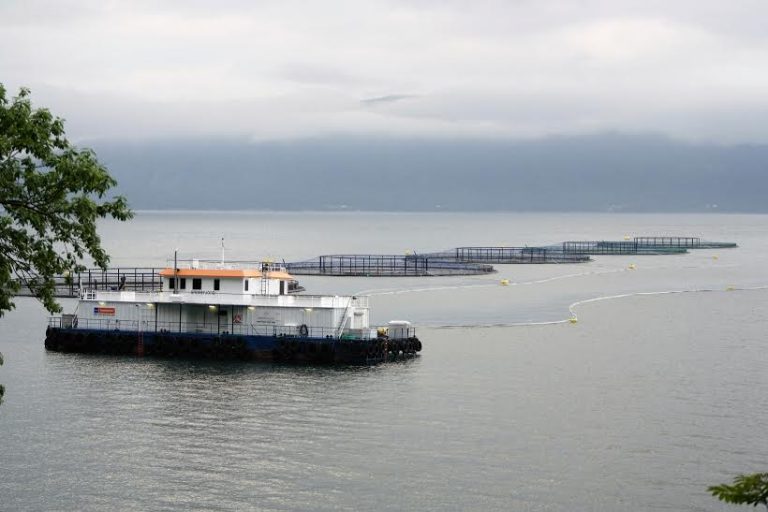 Priser inn dyp korreksjon