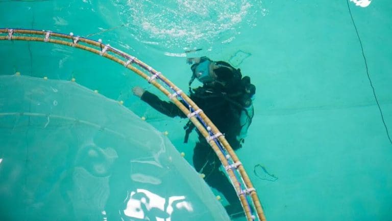 Aqualine søker utviklingstillatelser