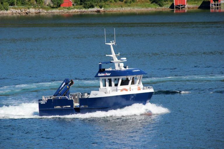 Ny arbeidshest seiler fra Kolvereid