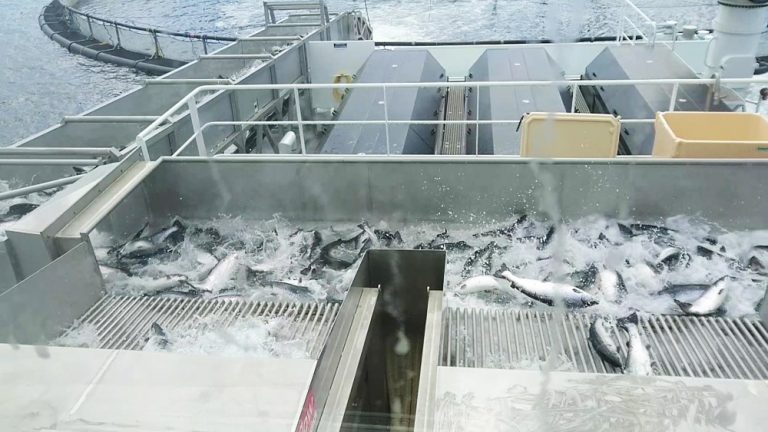Ny flåte avluser 400 tonn i timen