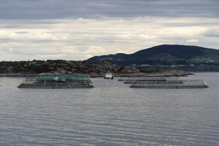 – Dette er en imponerende snuoperasjon