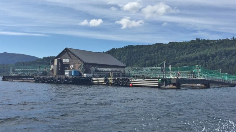 Her sank resultatet fra 42 til 5 millioner i fjor