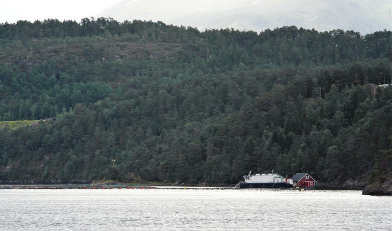 Rekordproduksjon for Nordfjord Laks