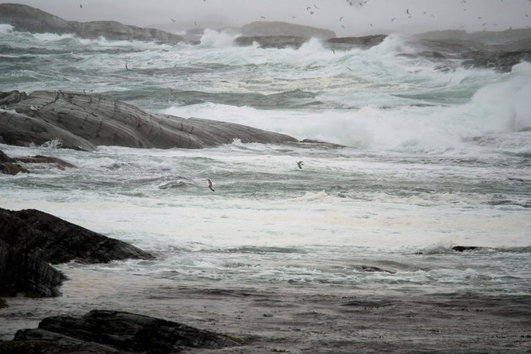 &laquo;Betydelig&raquo; Marine Harvest-rømming etter forrykende uvær