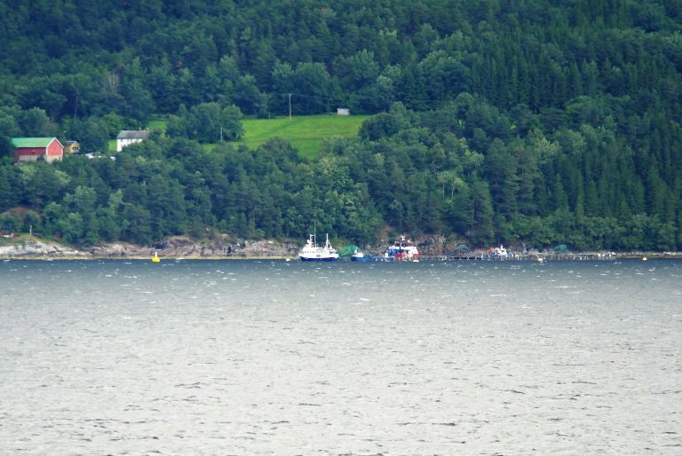 Prisfest ga tidenes kvartalsresultat for Lerøy